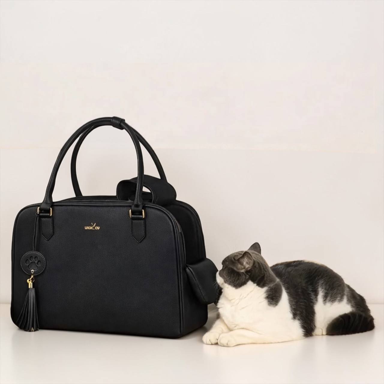 Luxury Pet Carrier Bag — Structured, Stylish & Travel-Ready