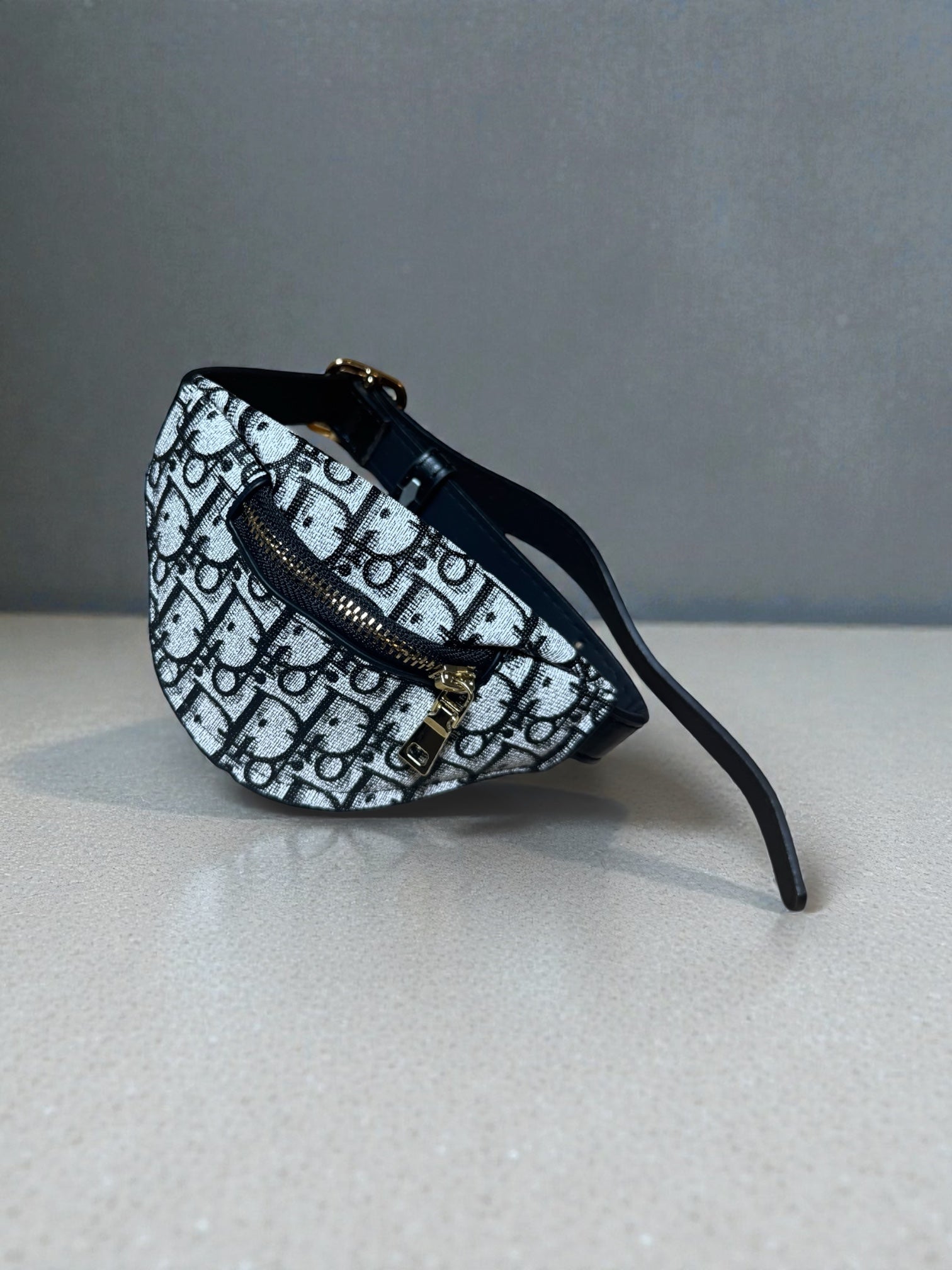 Luxury Mini Waist Bag