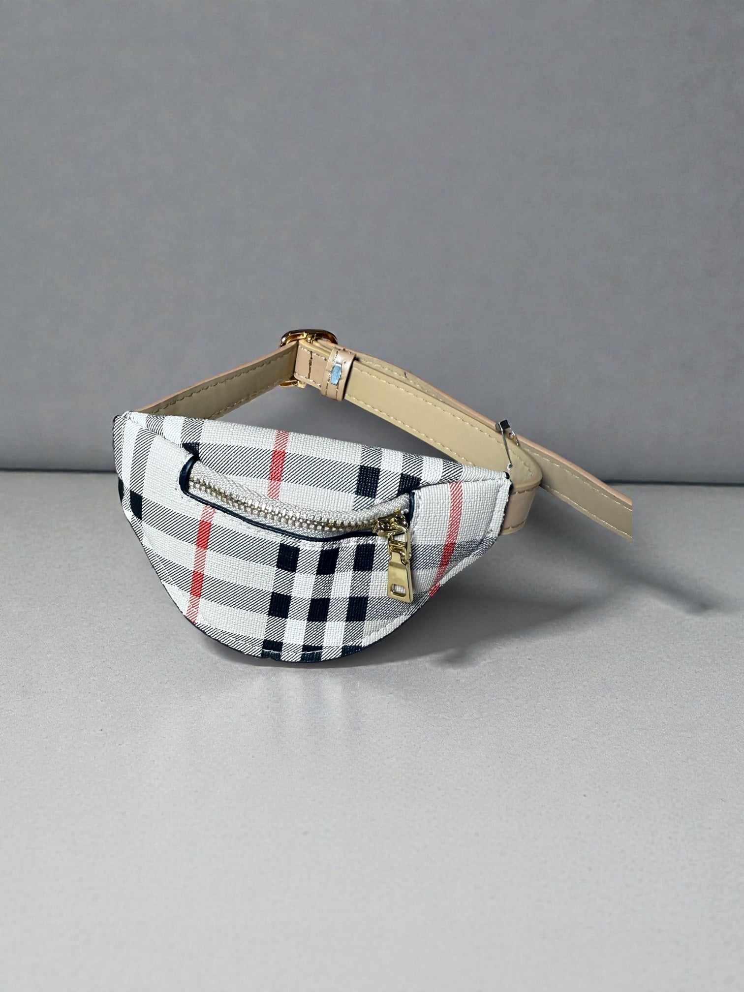 Luxury Mini Waist Bag