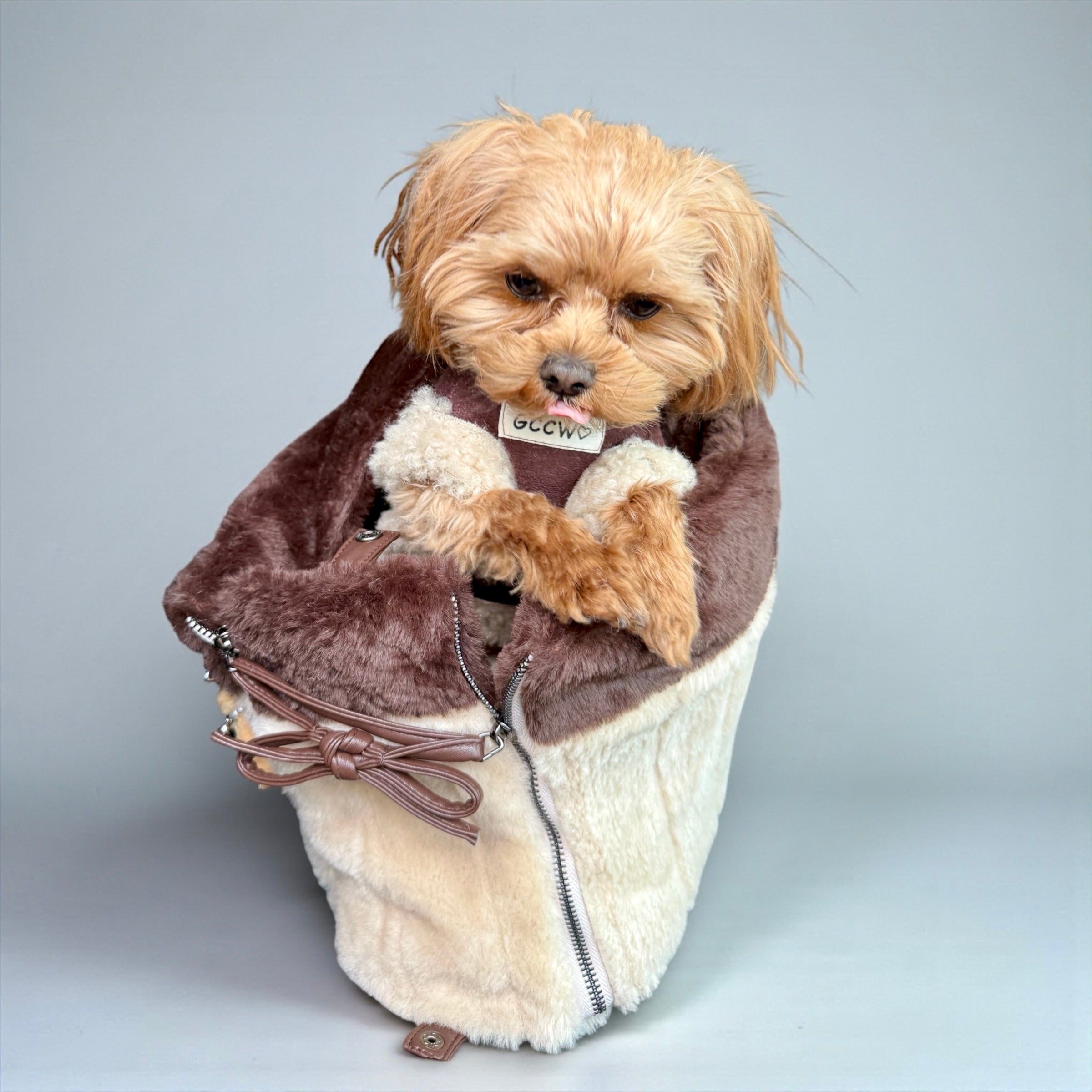 Dog Carrier Bag