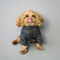 Winter Hooded Puffer Jacket