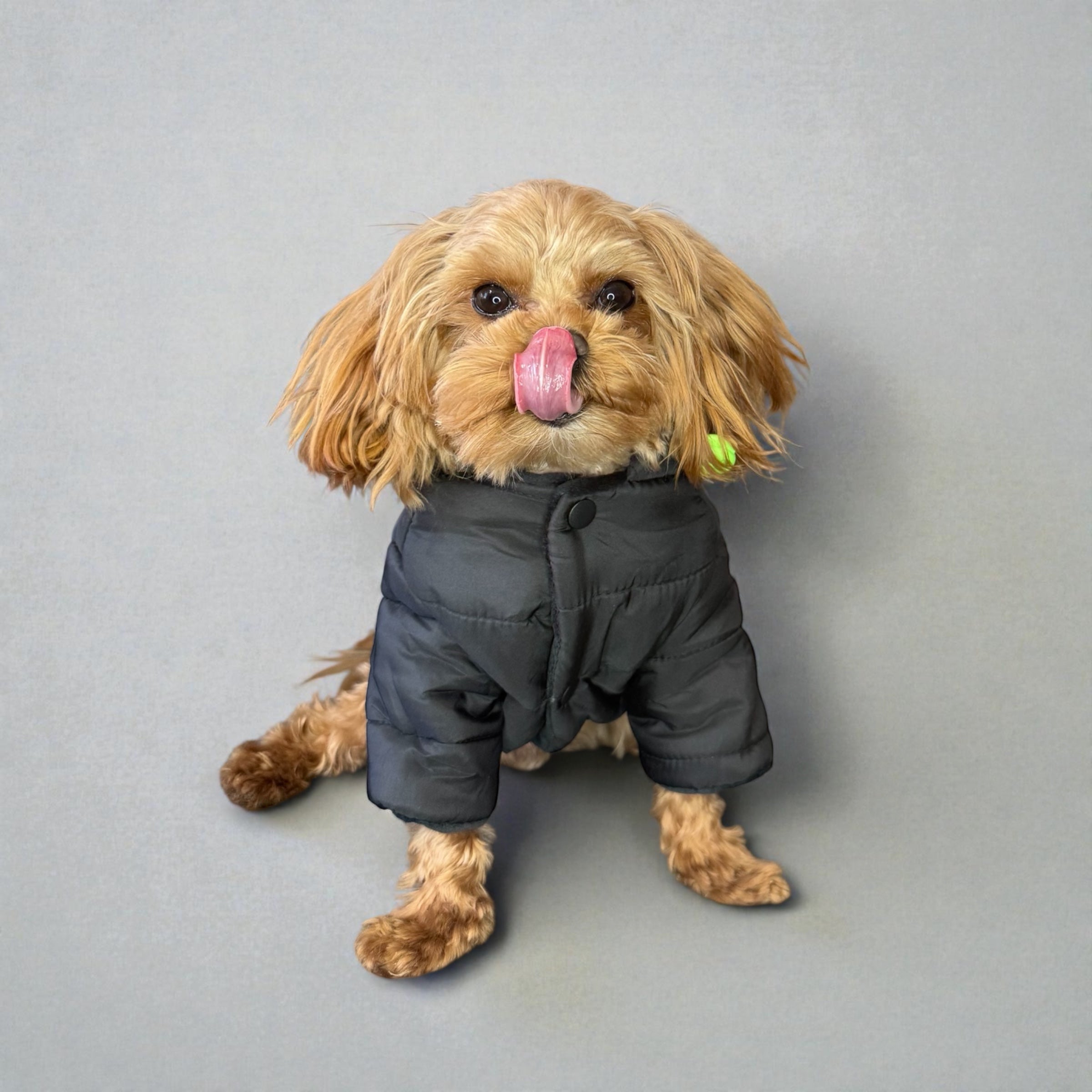 Winter Hooded Puffer Jacket