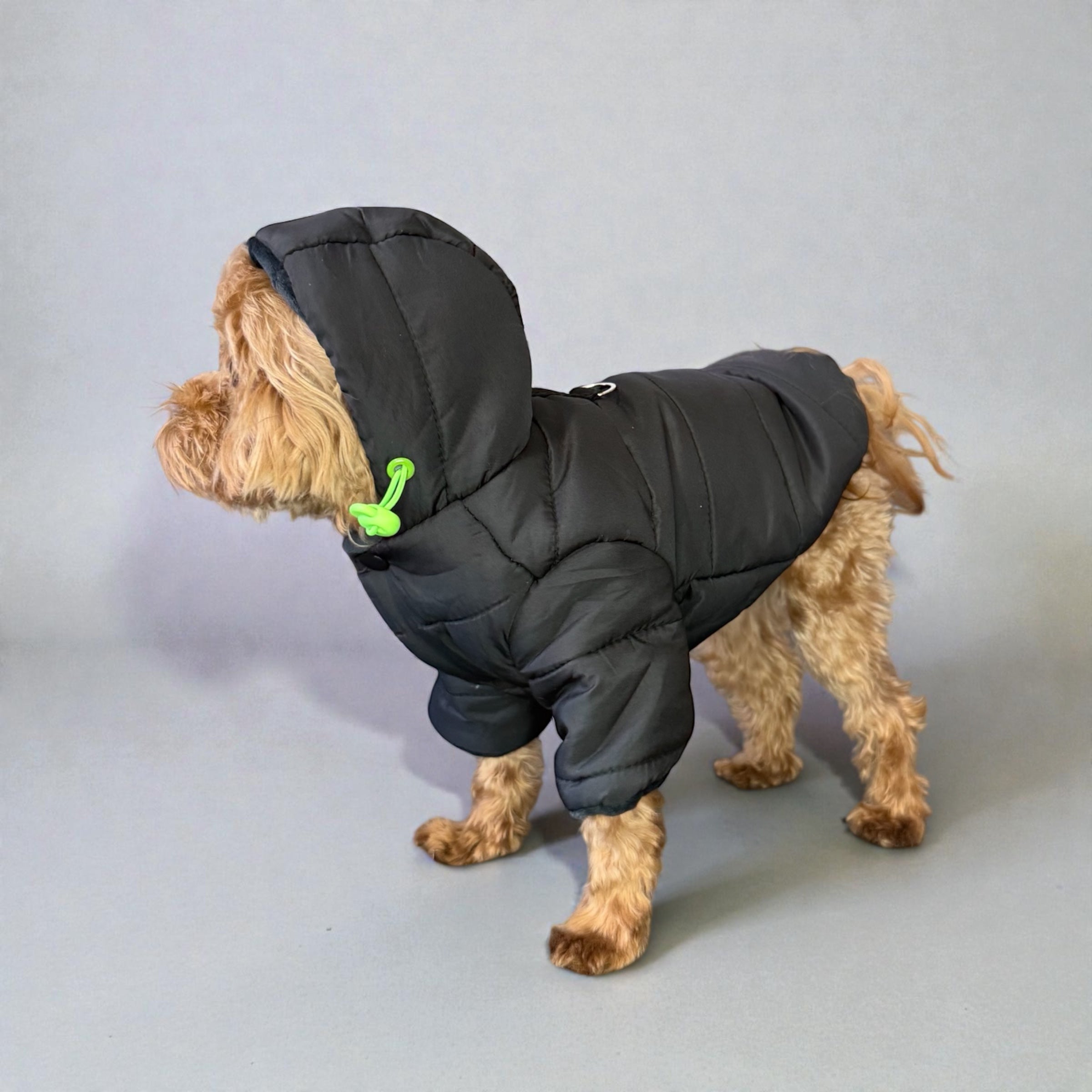 Winter Hooded Puffer Jacket
