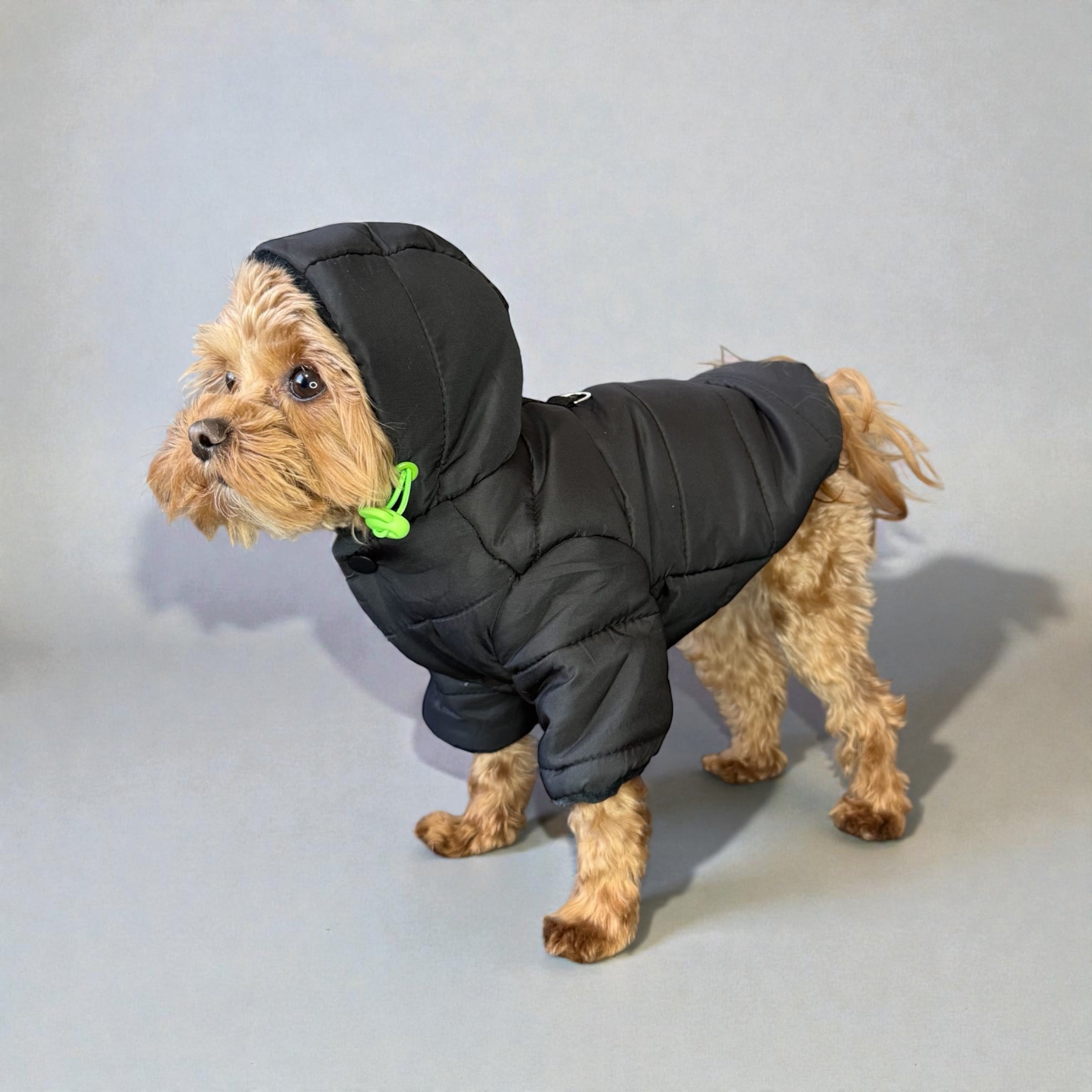 Winter Hooded Puffer Jacket