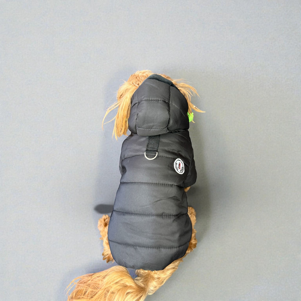 Winter Hooded Puffer Jacket