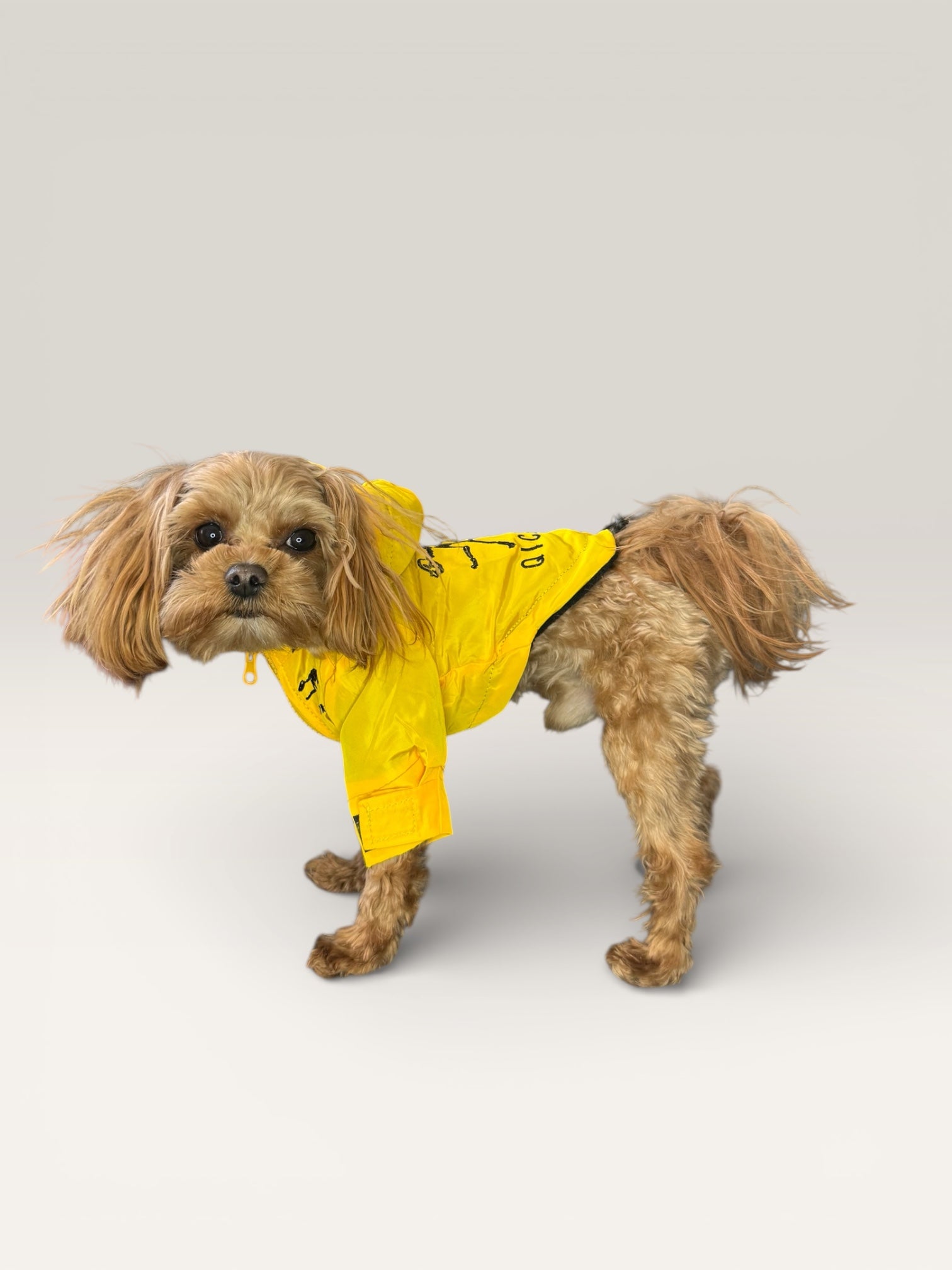 Fleece-Lined Dog Jacket