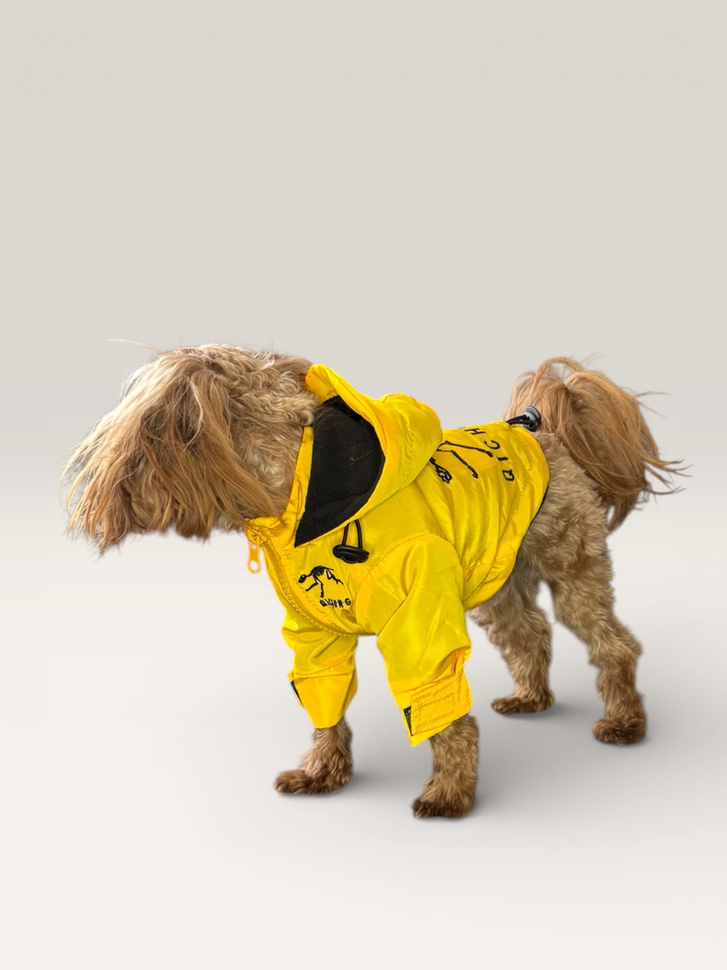 Fleece-Lined Dog Jacket