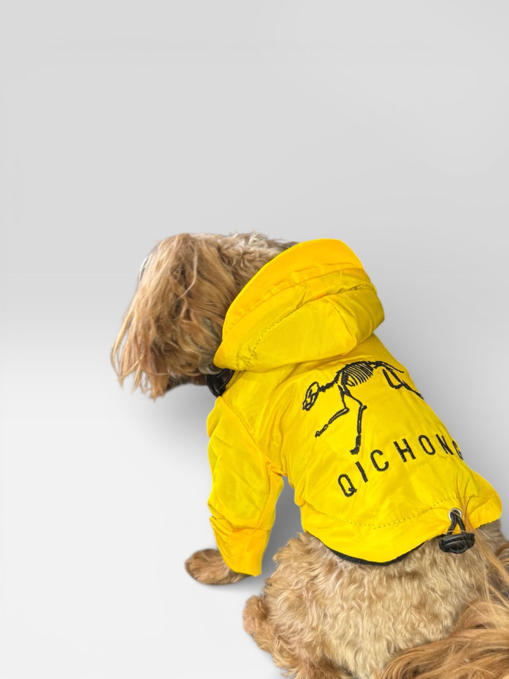 Fleece-Lined Dog Jacket