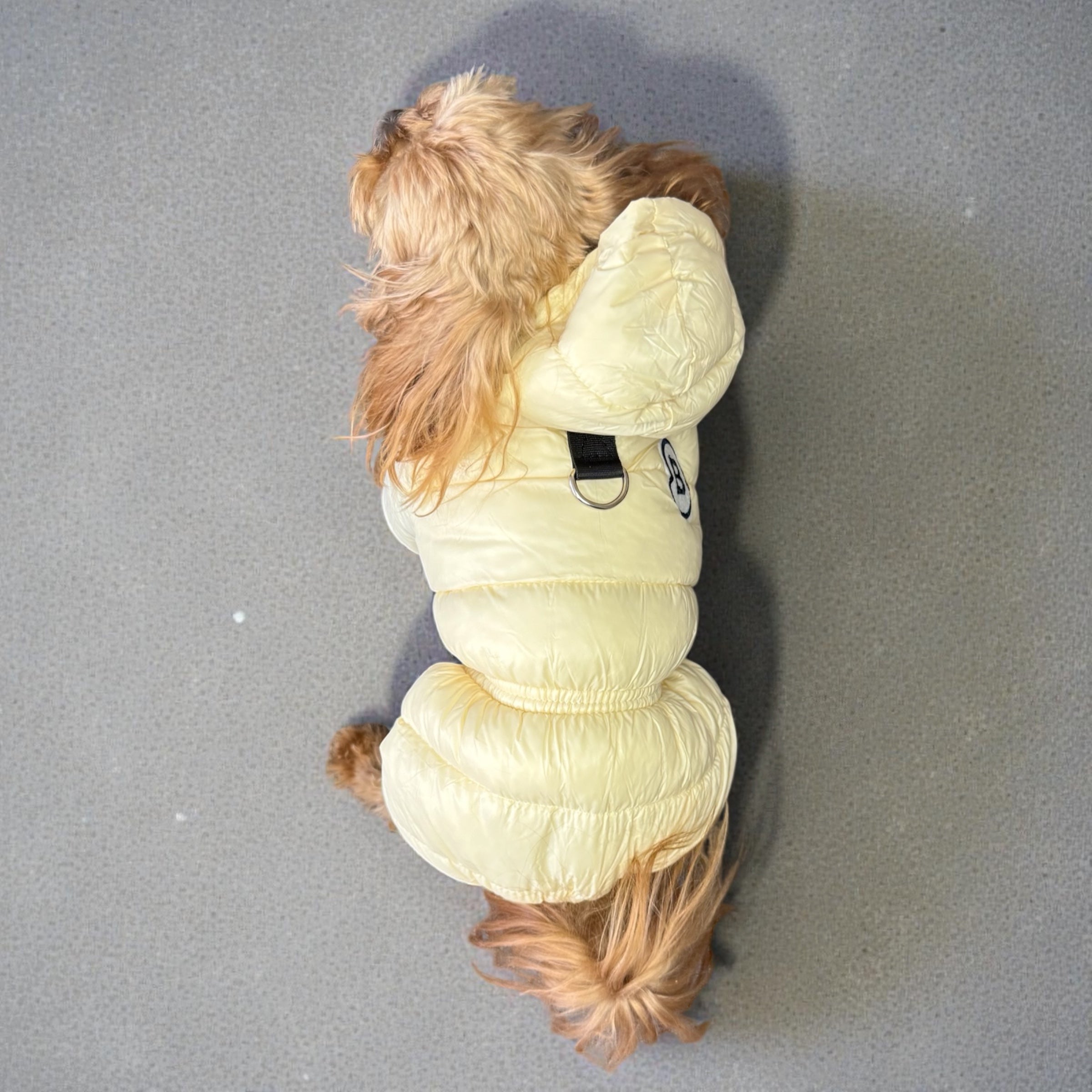 Waterproof Hooded Dog Winter Jumpsuit with Down Cotton Insulation
