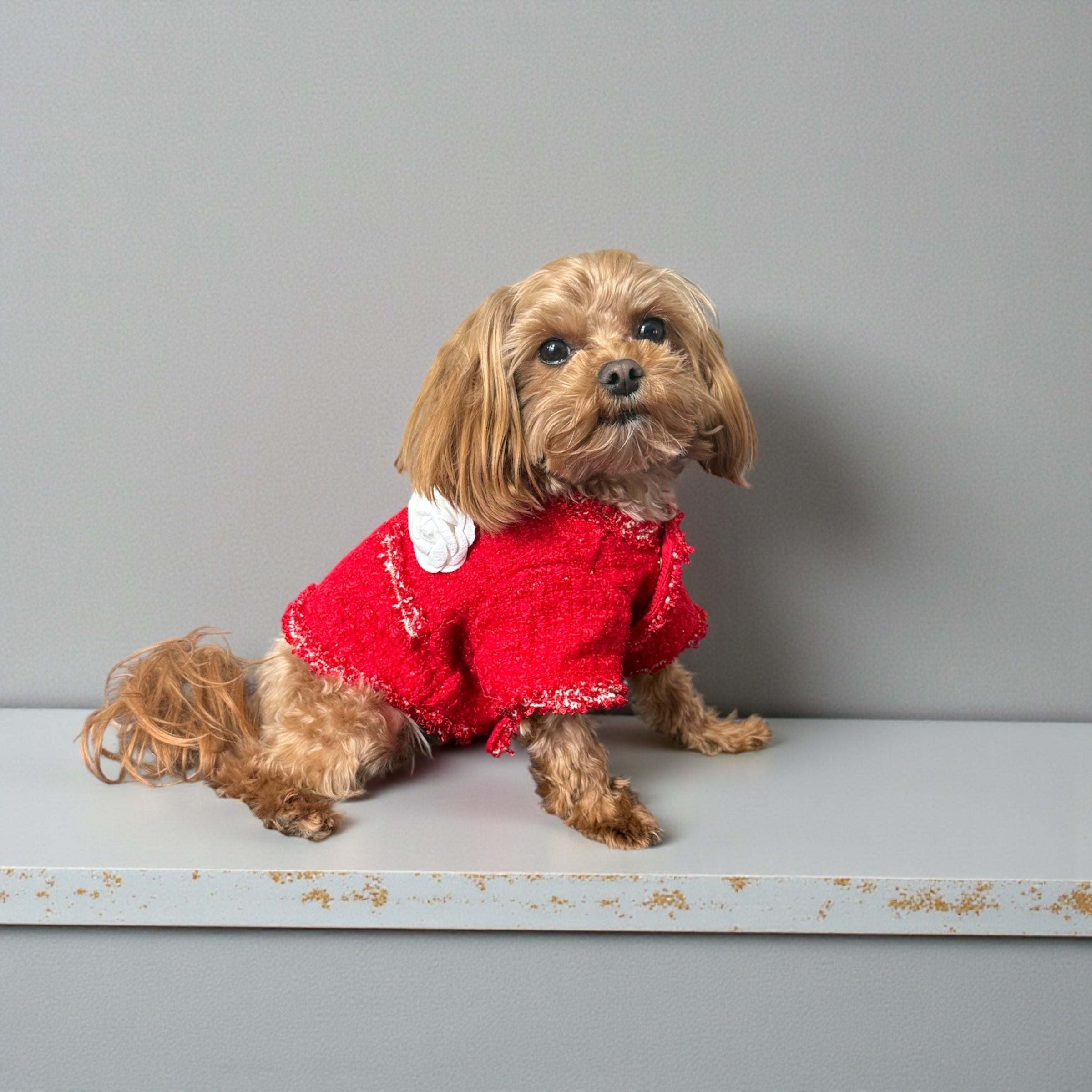 Red Tweed Dog Dress Set with Warm Jacket