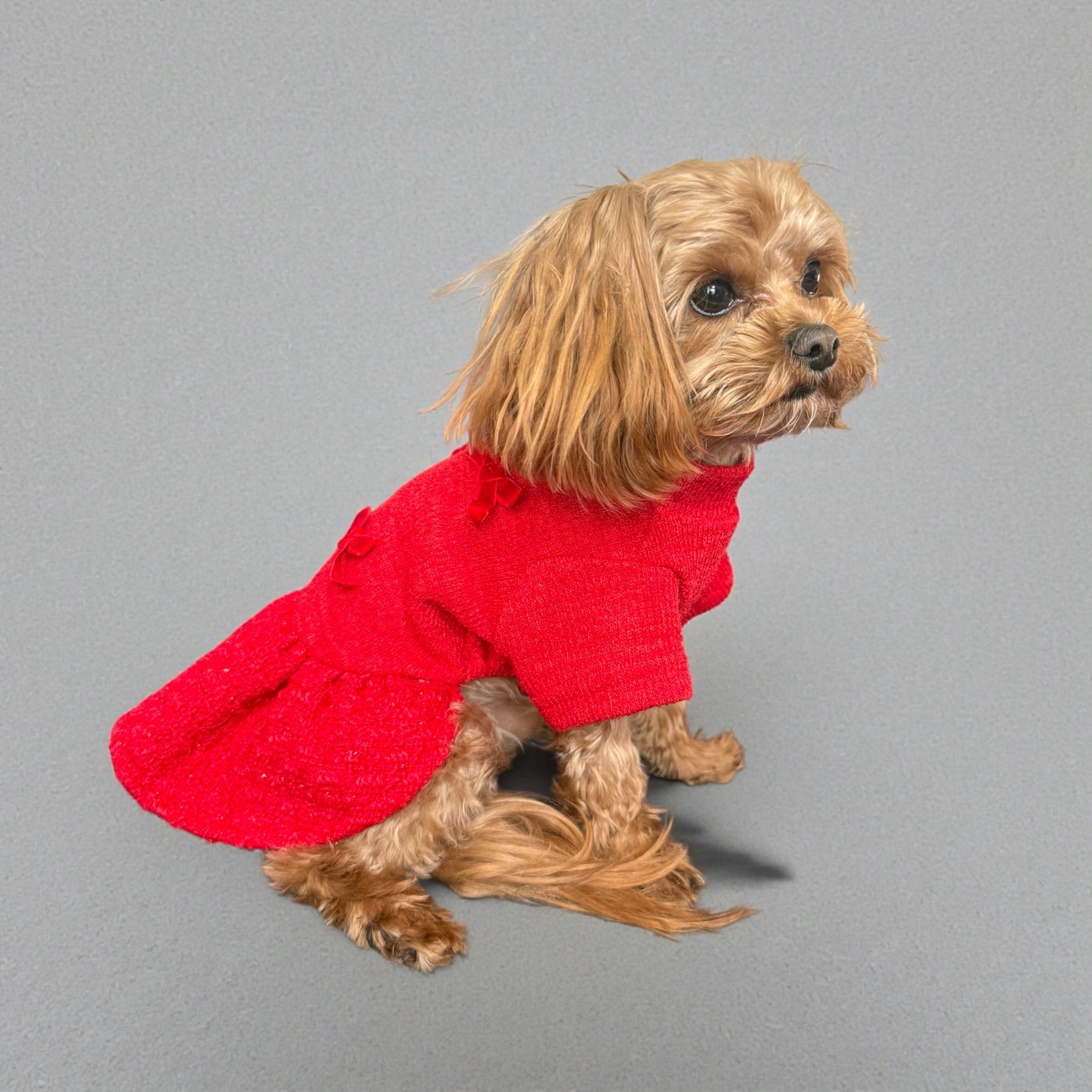 Red Tweed Dog Dress Set with Warm Jacket