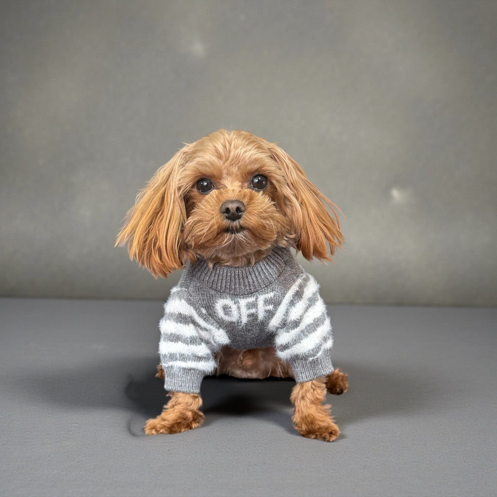 Gray Soft Knit Dog Sweater with White Stripes & Letters