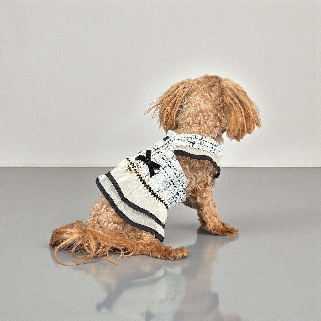 Elegant Tweed Dog Dress