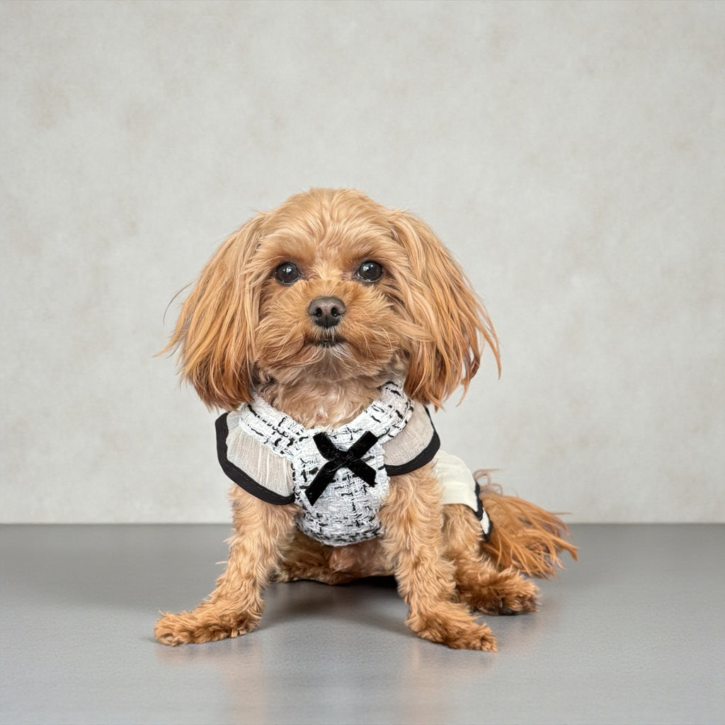 Elegant Tweed Dog Dress