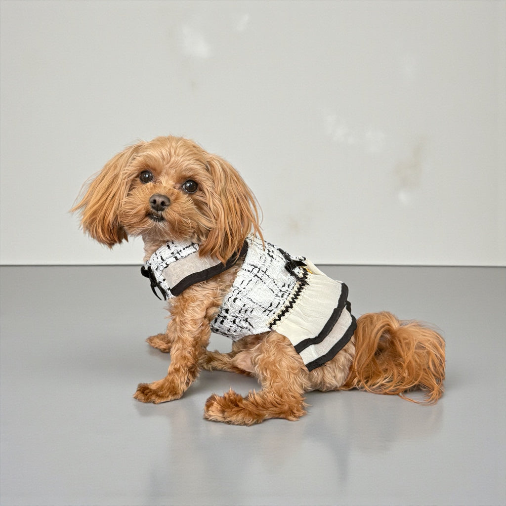 Elegant Tweed Dog Dress