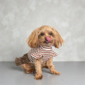 Brown Striped Dog Dress with Ruffle Skirt
