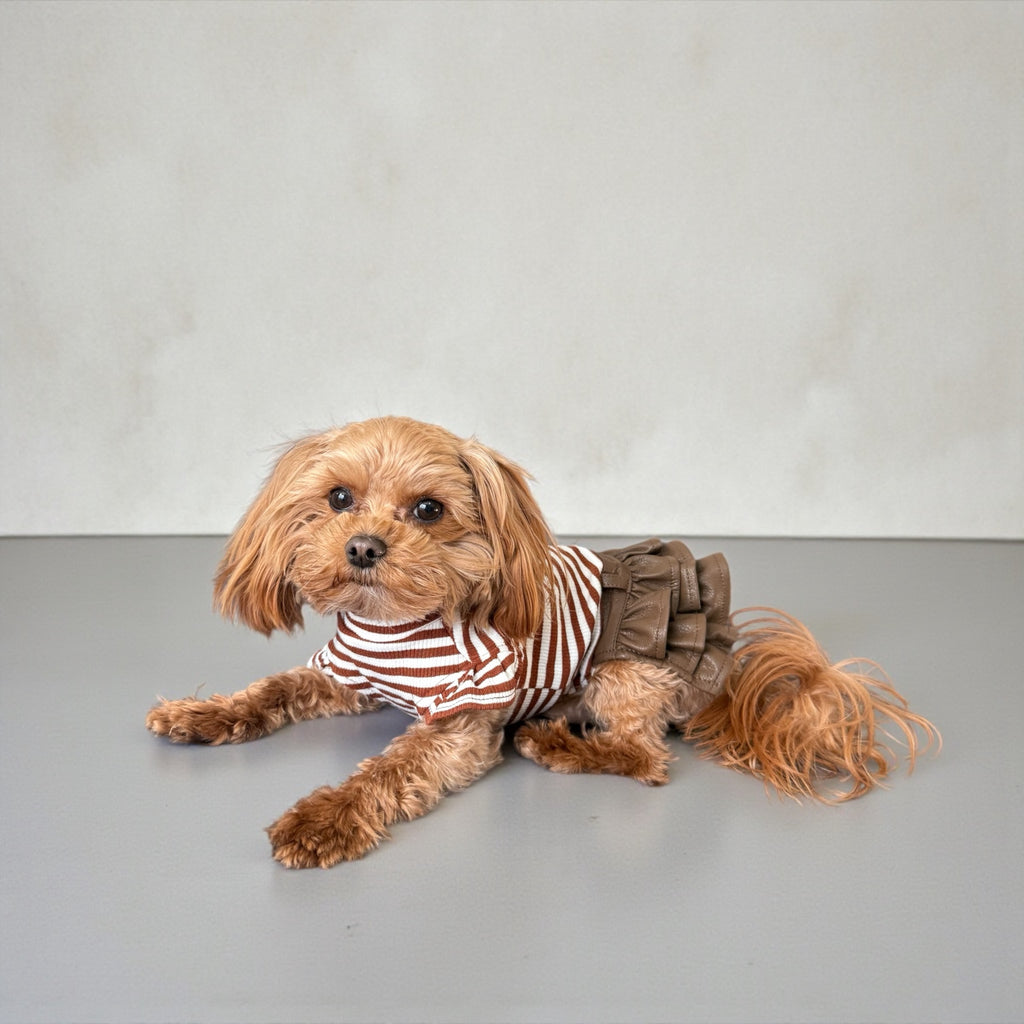 Brown Striped Dog Dress with Ruffle Skirt