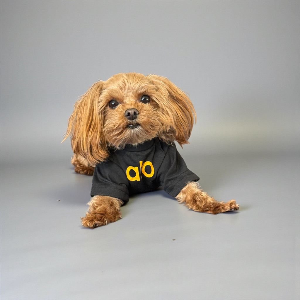 Classic Cotton Dog T-Shirt with Logo Print