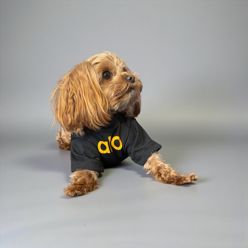 Classic Cotton Dog T-Shirt with Logo Print