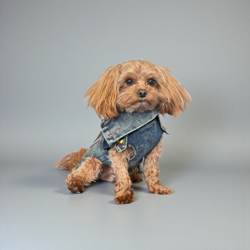 Vintage Denim Dog Jacket with Frayed Hem and Back Zipper