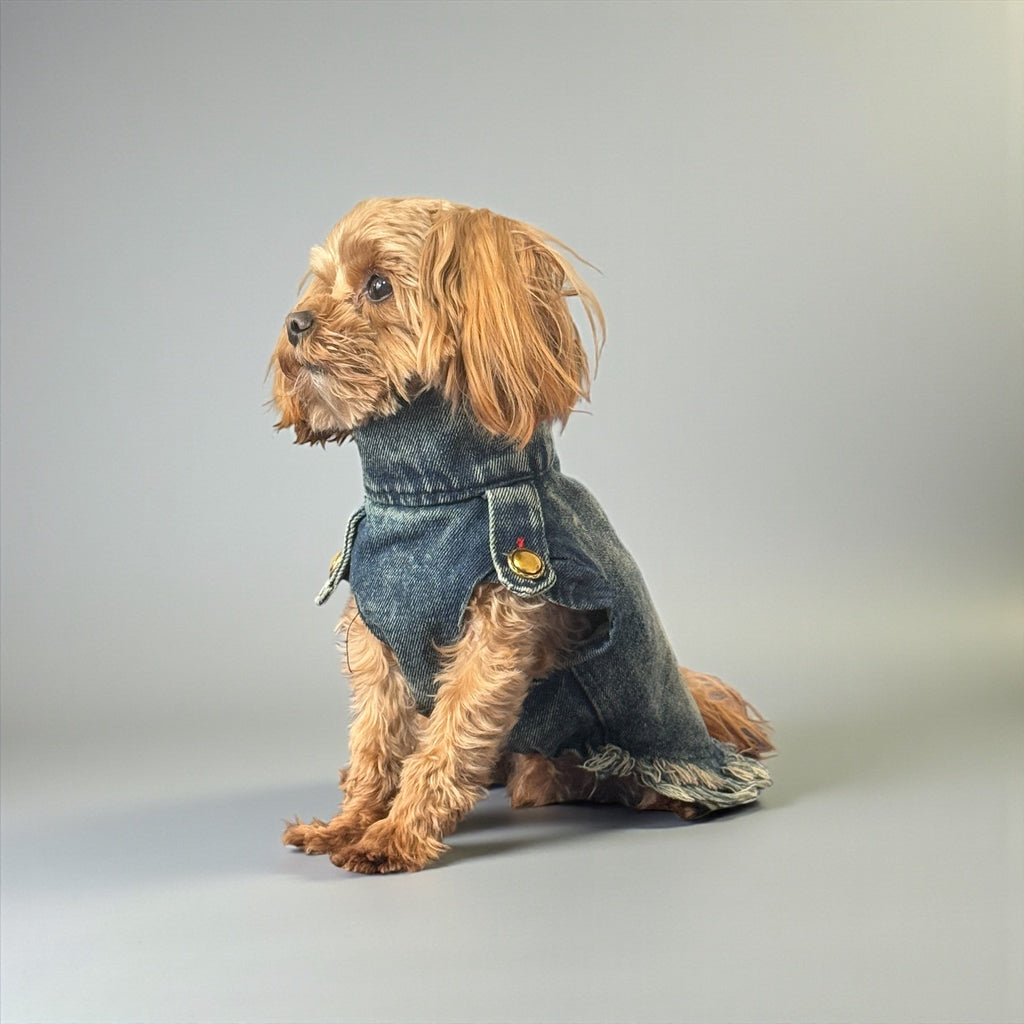 Vintage Denim Dog Jacket with Frayed Hem and Back Zipper