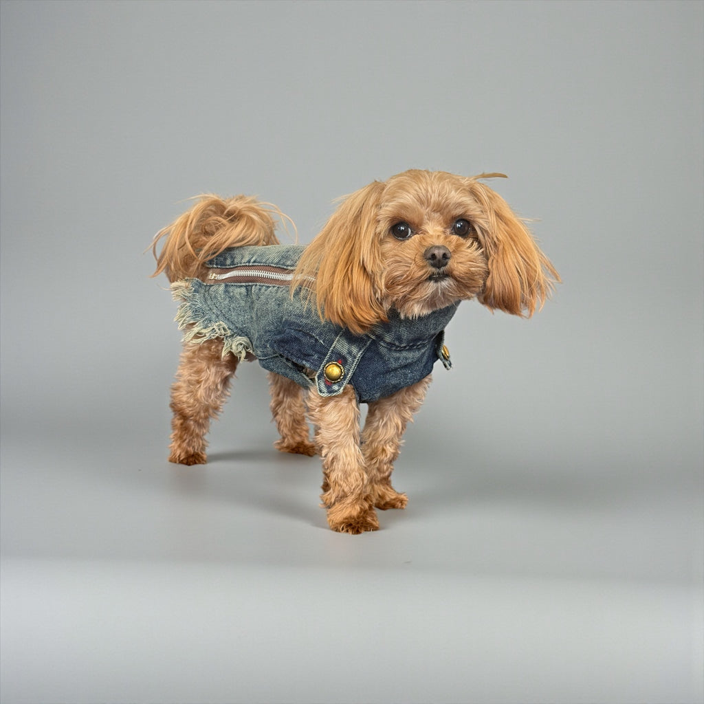 Vintage Denim Dog Jacket with Frayed Hem and Back Zipper
