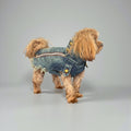 Vintage Denim Dog Jacket with Frayed Hem and Back Zipper