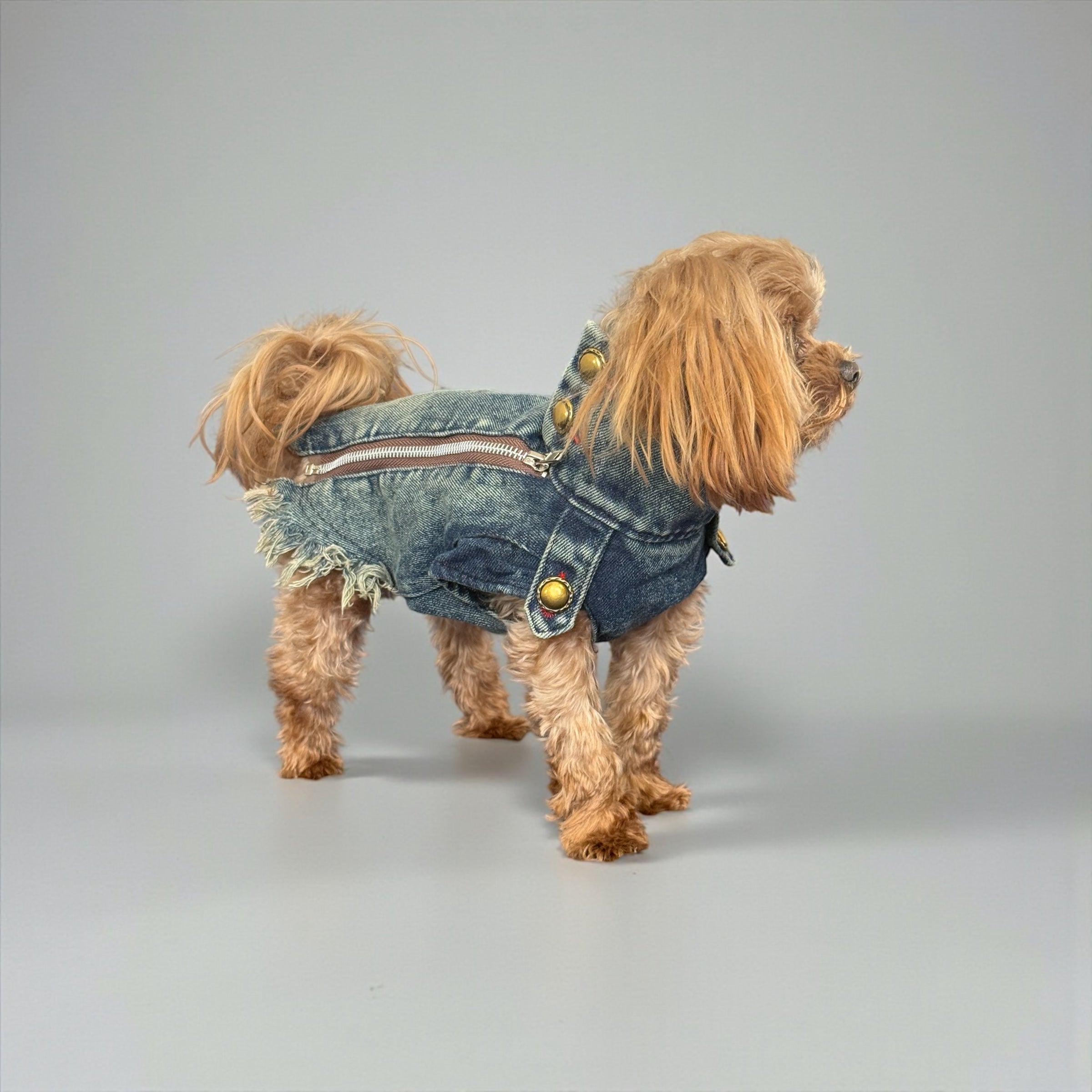 Vintage Denim Dog Jacket with Frayed Hem and Back Zipper