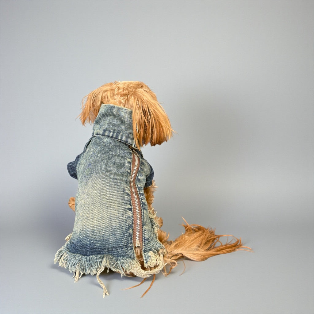 Vintage Denim Dog Jacket with Frayed Hem and Back Zipper