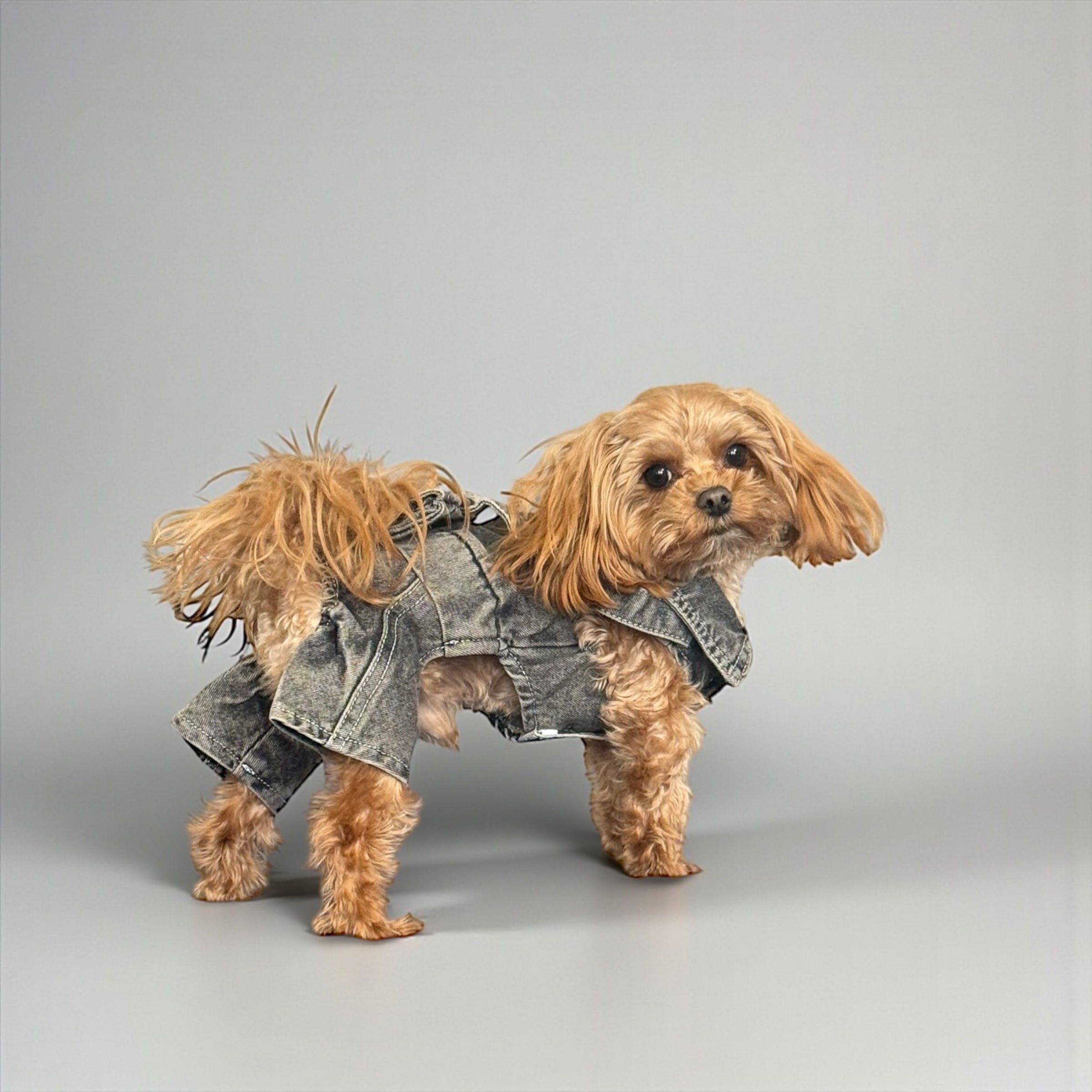 Classic Denim Jumpsuit