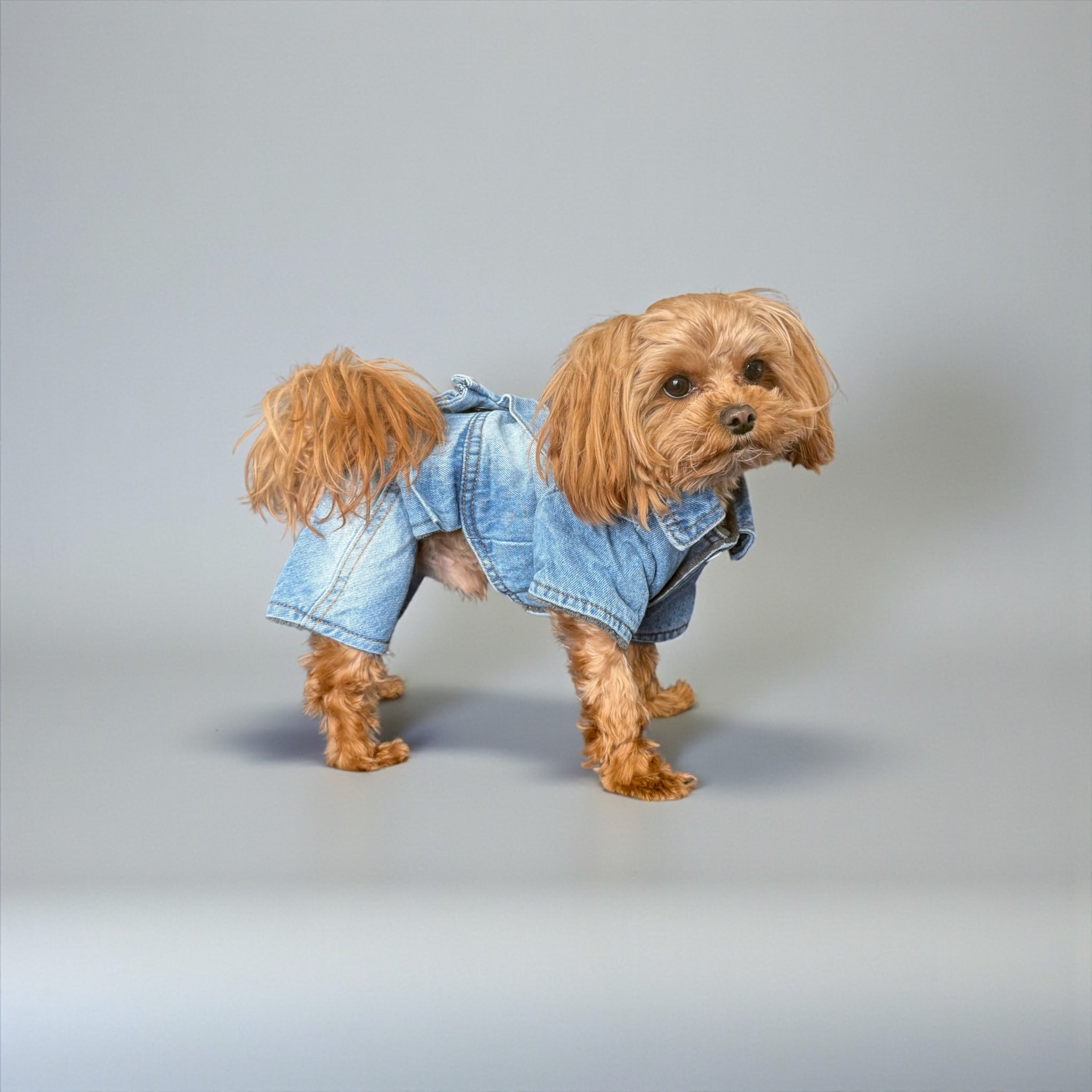 Denim Fleece-Lined Dog Jumpsuit with Harness Ring