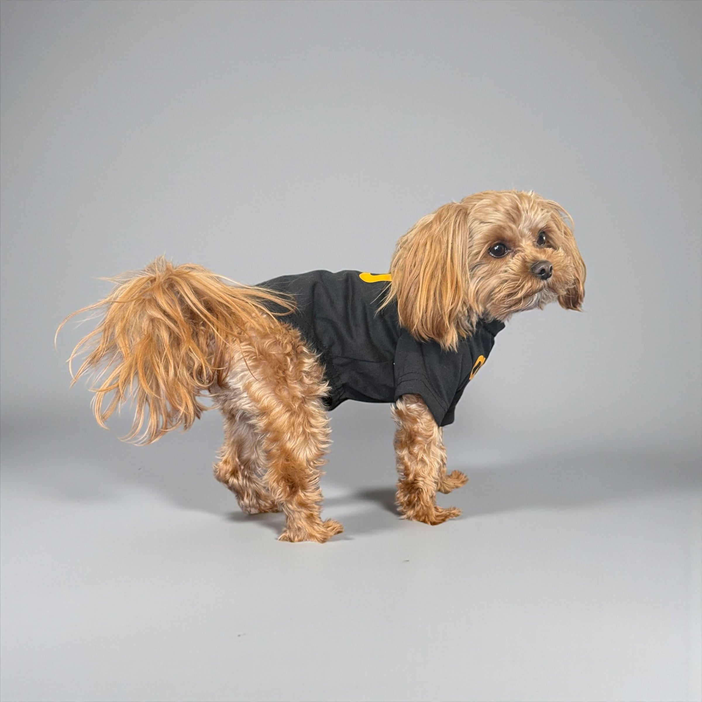 Classic Cotton Dog T-Shirt with Logo Print