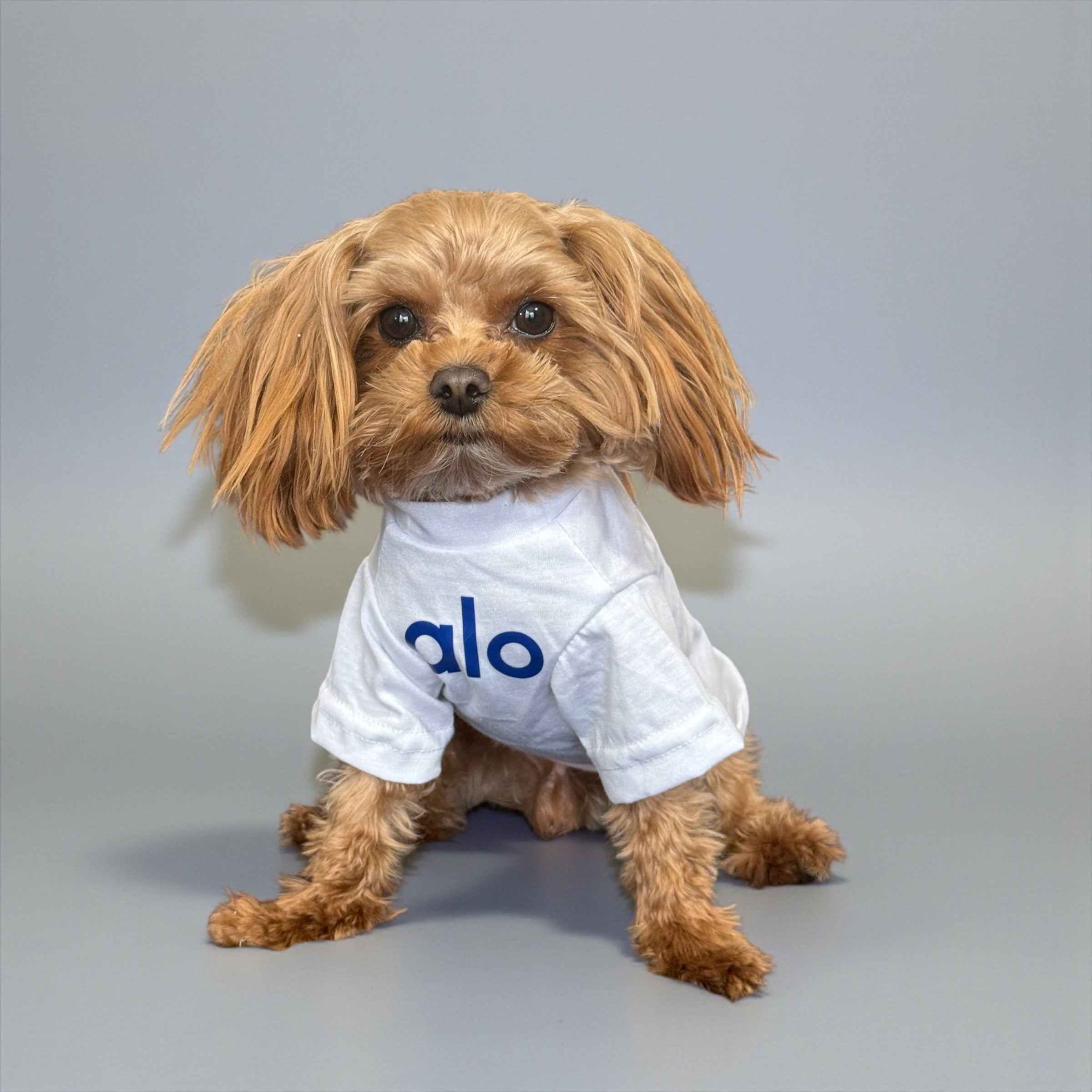 Classic Cotton Dog T-Shirt with Logo Print