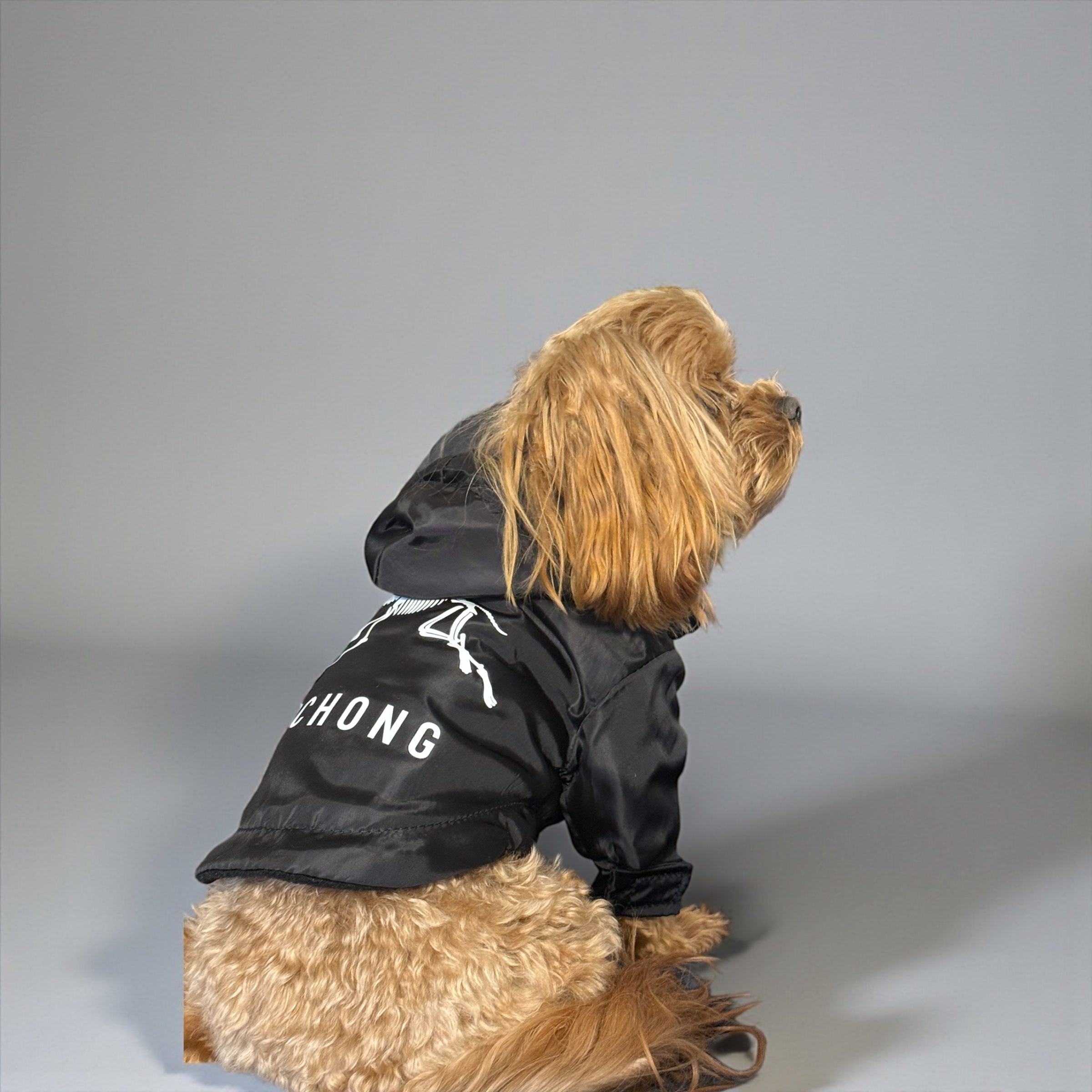 Fleece-Lined Dog Jacket