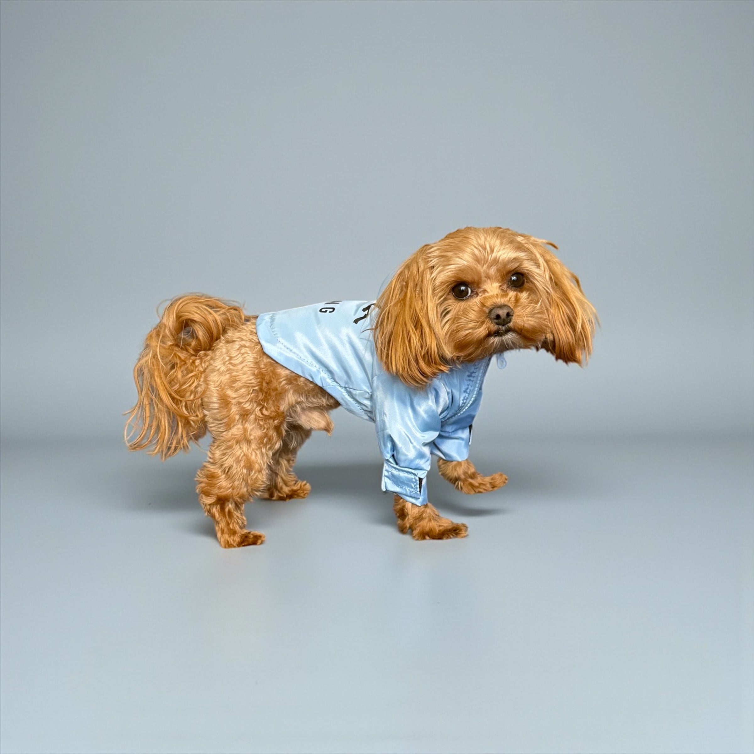 Fleece-Lined Dog Jacket