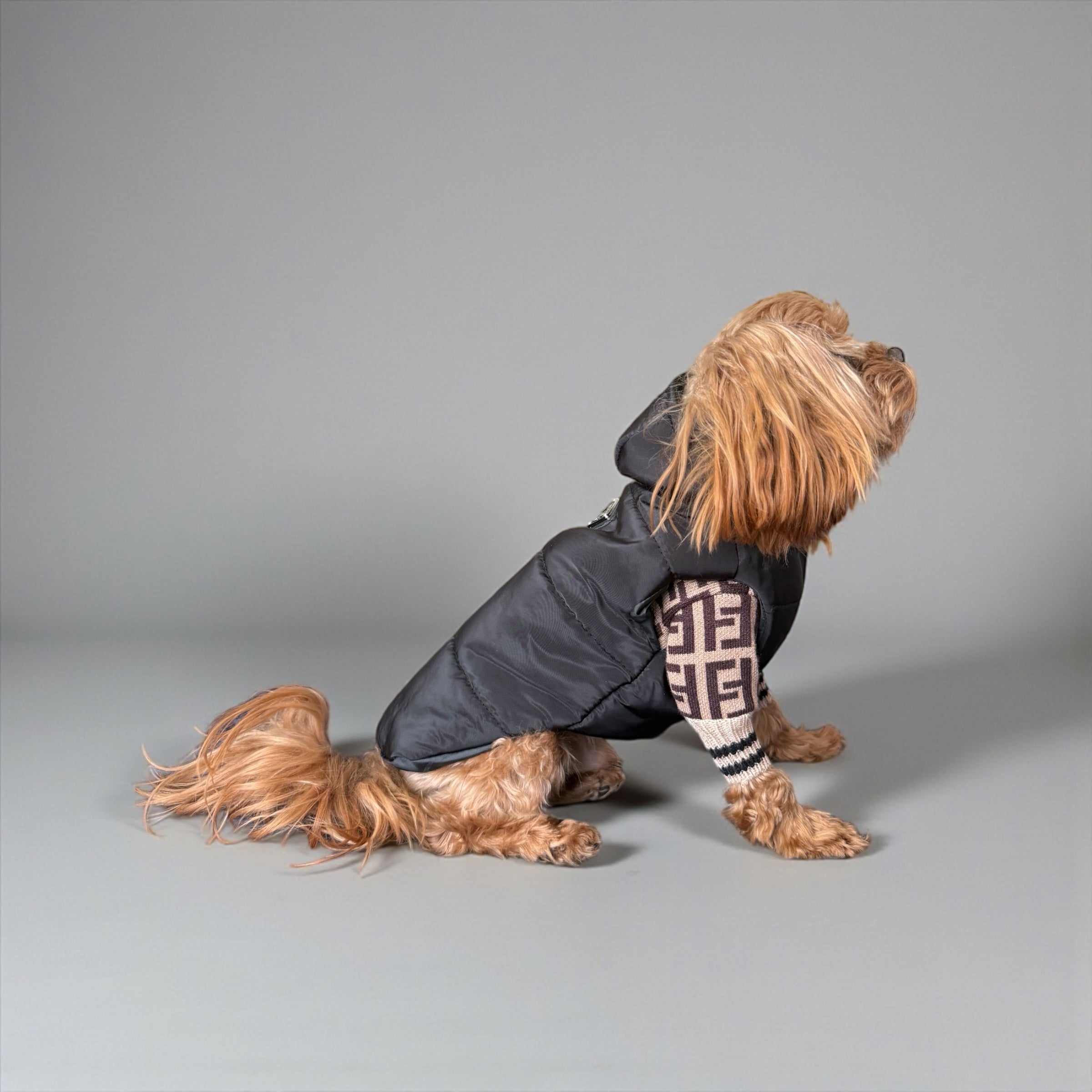 Puffer Dog Vest