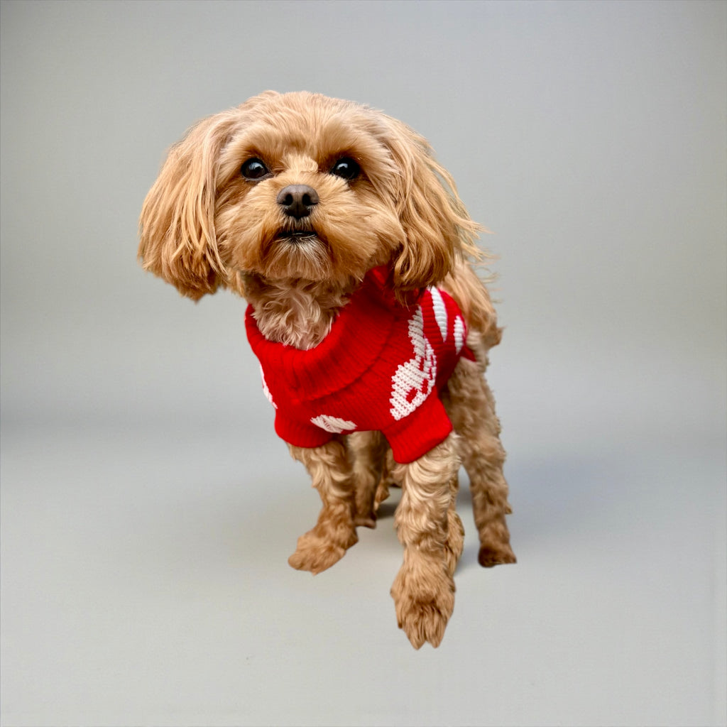 Heart Knit Dog Sweater – Red