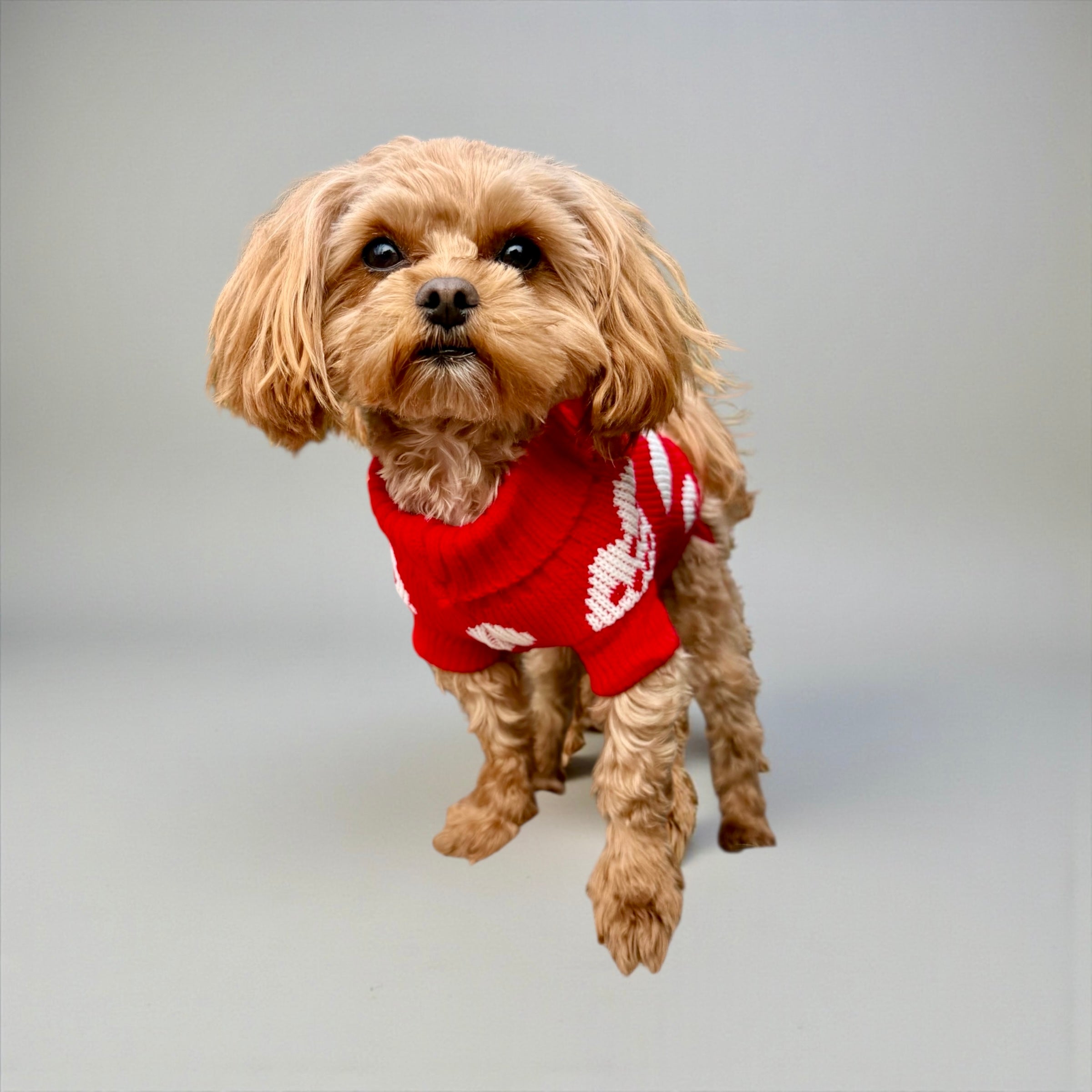 Heart Knit Dog Sweater – Red