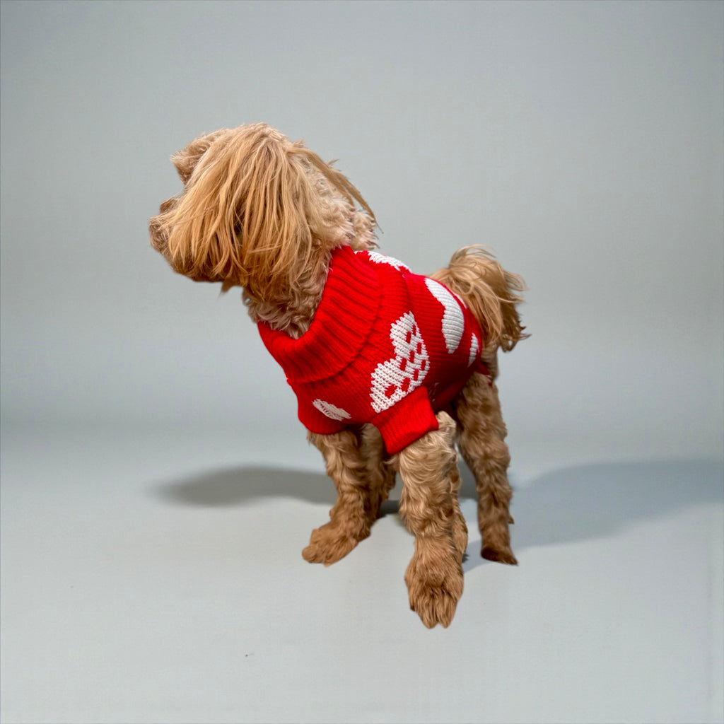 Heart Knit Dog Sweater – Red