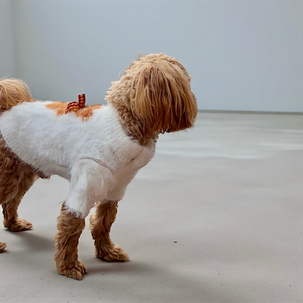 Teddy Sherpa Dog Sweater