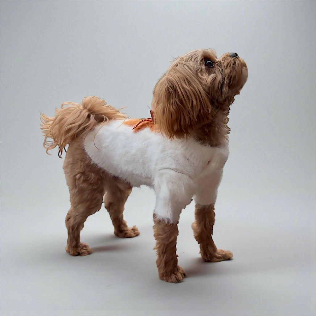 Teddy Sherpa Dog Sweater