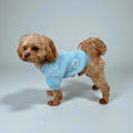 Pearl Blue Knit Dog Sweater