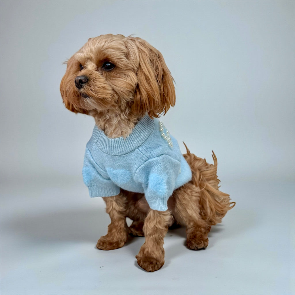 Pearl Blue Knit Dog Sweater