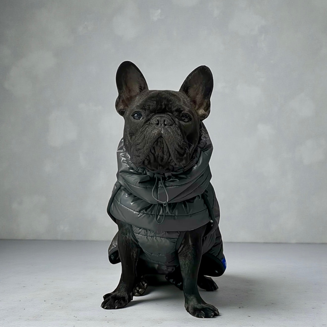 High Neck Puffer