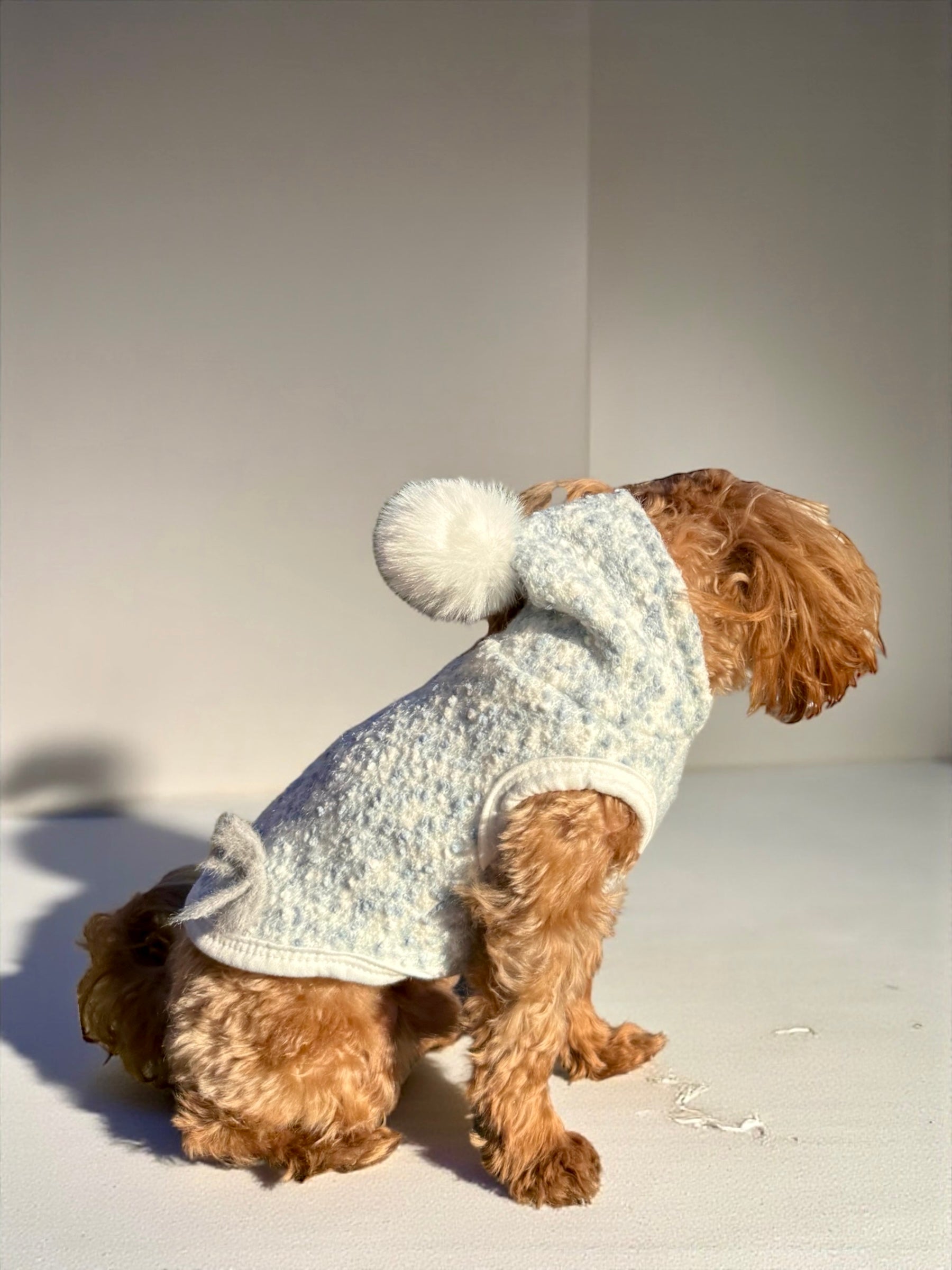 Insulated Everyday Hoodie