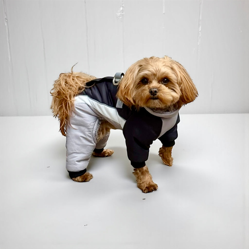 Winter Dog Snowsuit
