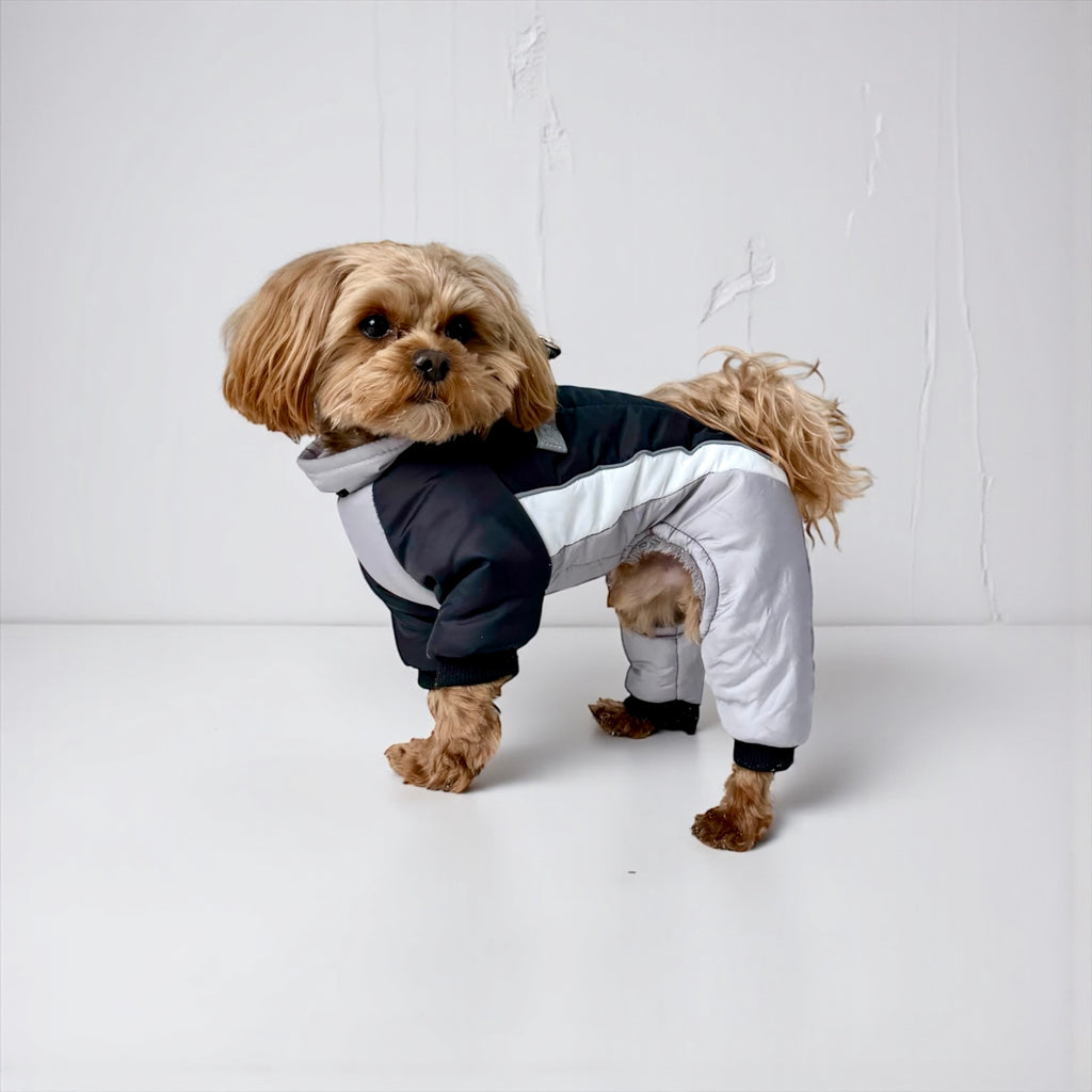 Winter Dog Snowsuit