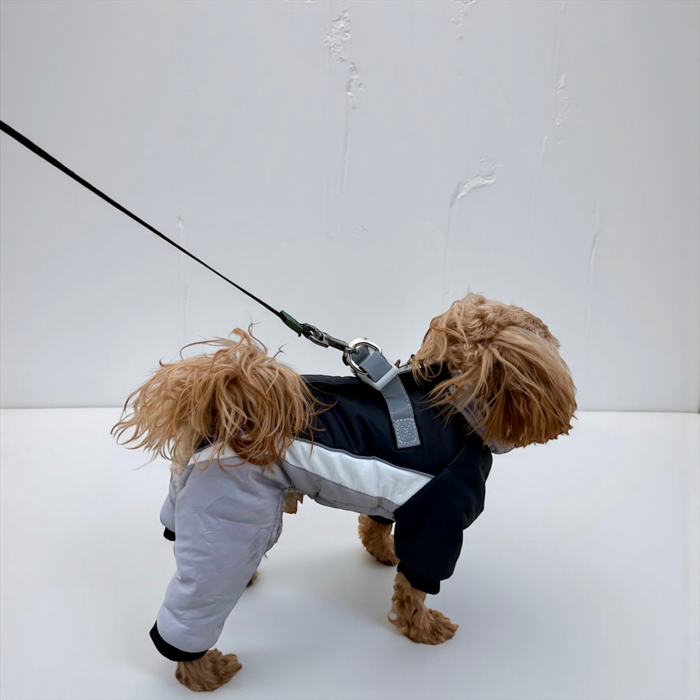 Winter Dog Snowsuit