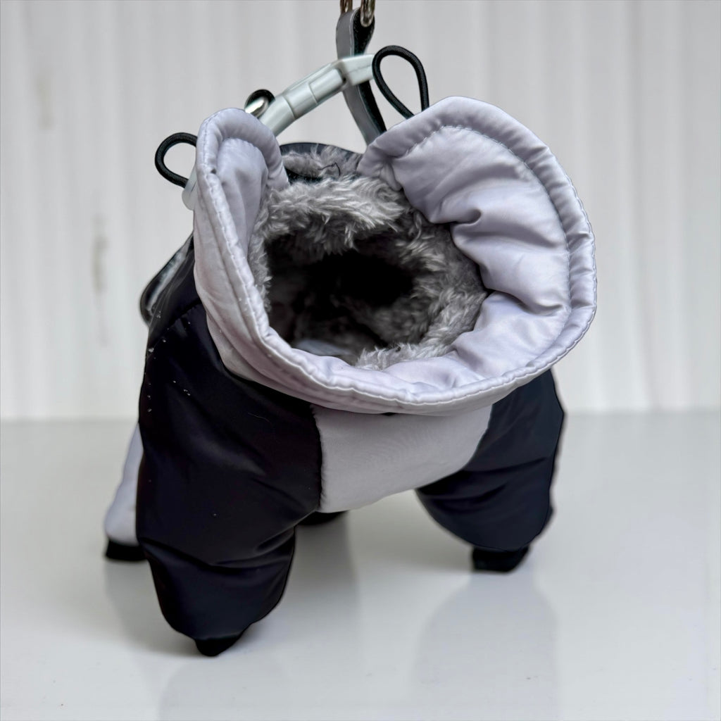 Winter Dog Snowsuit